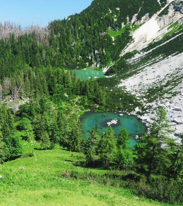 Ein See in den Bergen und viele Bäume und Wiesenflächen