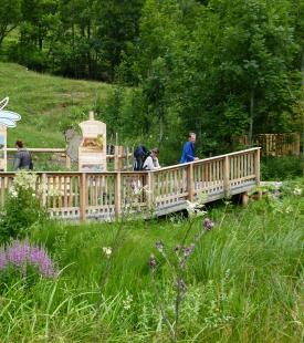 Auf einer Brücke im Nationalpark sind Besucher und sehen sich Informationen an